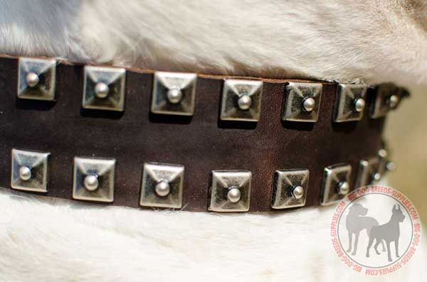 Collar with 2 rows of riveted studs