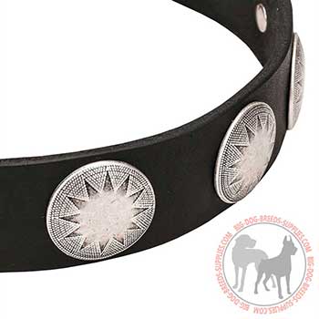 Leather Dog Collar with Stylish Circles