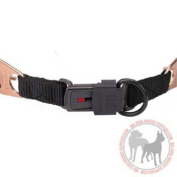 Longevous Dog Pinch Collar with Quick Release Buckle