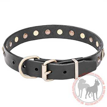 Leather Dog Collar with Brass Buckle