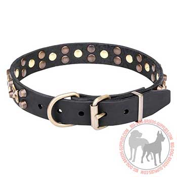 Walking Leather Dog Collar with Non-corrosive Hardware