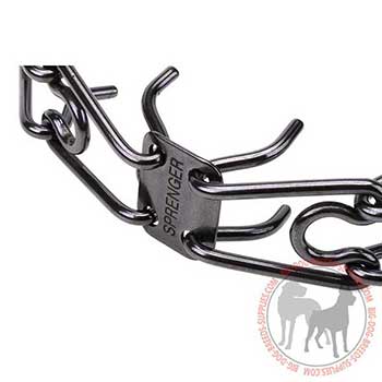 Firm Dog Pinch Collar with Removable Links