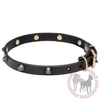 Narrow Leather Collar with Riveted Decoration