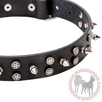 Walking Leather Collar with Unique Decoration