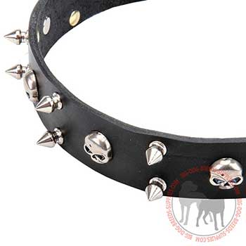 Leather Collar with Unique Decoration