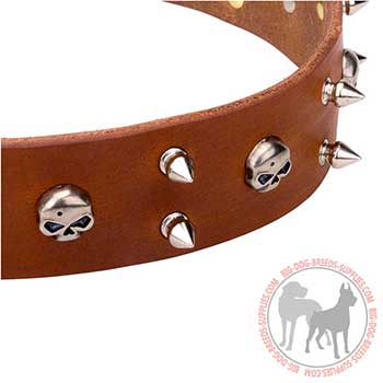 Tan Leather Dog Collar with Trendy Decoration