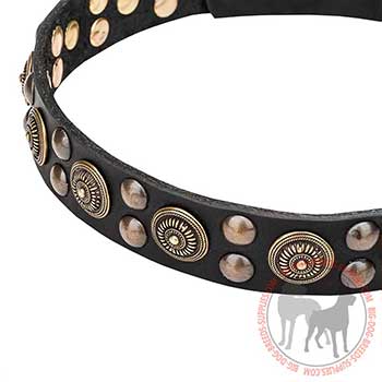 Leather Collar for Dog Trendy Performing