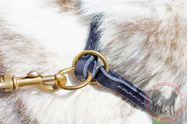 Silent choke collar O-ring for leash
