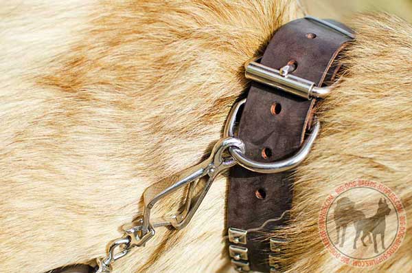 Collar for dogs with D-ring and buckle