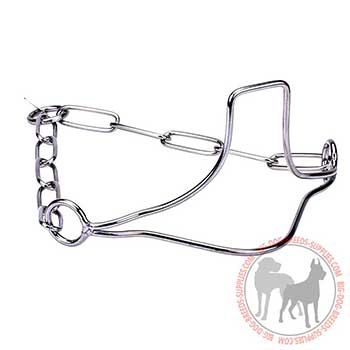 Stainless Dog Collar of Steel