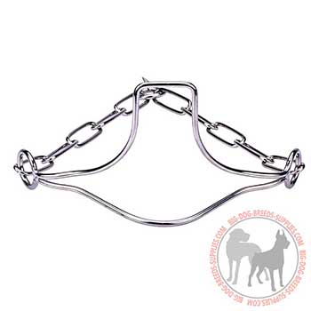 Stainless Dog Collar with Head Support