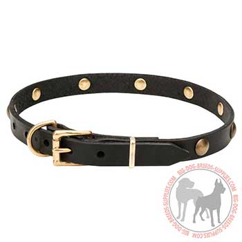 Narrow Leather Canine Collar with Strong Hardware