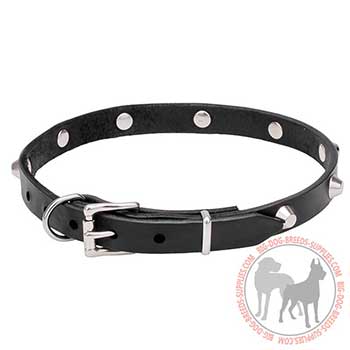 Canine Leather Collar with Rust Resistant Hardware