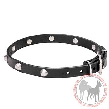 Strong Leather Dog Collar for Walking Large Breeds
