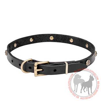 Dog Leather Collar with Rust-proof Hardware