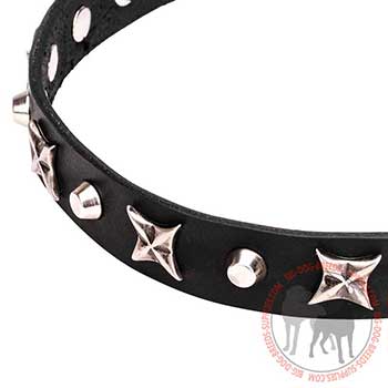 Leather Dog Collar with Unique Decorations