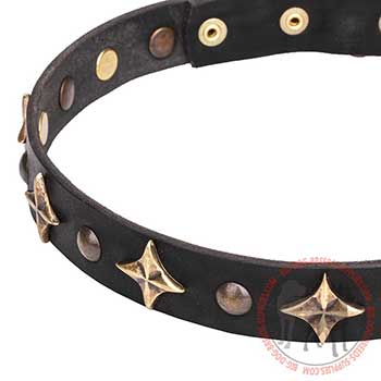 Leather Dog Collar with Luxury Bronze Plated Studs