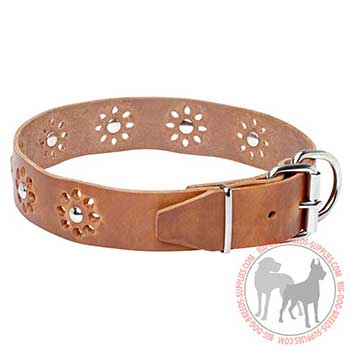 Leather Collar for Canine Stylish Performing