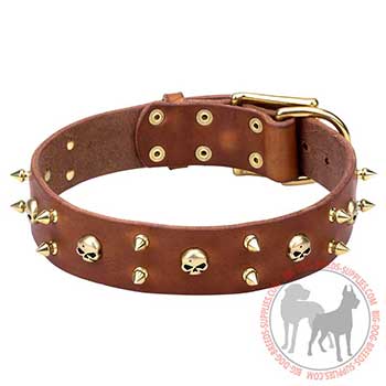 Leather Collar with Brutal Design