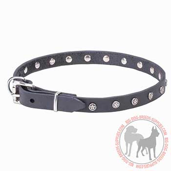 Thin Leather Dog Collar with Star Fittings