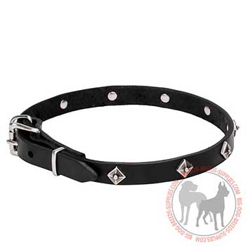 Strong Leather Dog Collar with Unique Studs