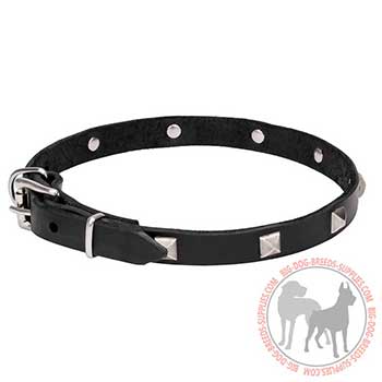 Walking Leather Collar for stylish Performing