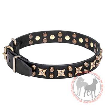 Reliable Leather Collar with Old-looking Pyramids and Stars