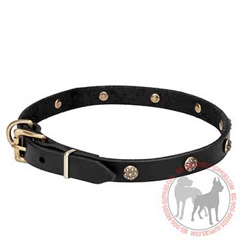 Reliable Leather Collar for Walking Big Dog Breeds