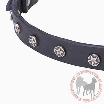 Thin Leather Collar with star studs Decoration