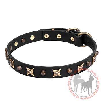 Walking Leather Collar with Trendy Decoration