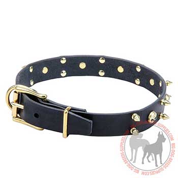Wide Leather Collar with Strong Hardware