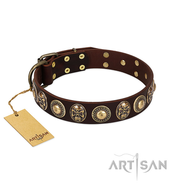 Extraordinary full grain natural leather dog collar for stylish walking