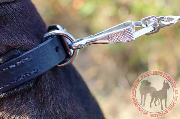 Durable D-Ring for Leash Fastening