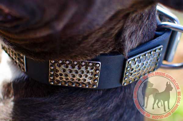 Embellished Dog Equipment with Pretty Plates