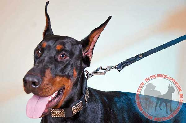 Doberman Leather Collar for Walking and Training