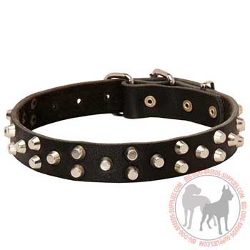 Leather dog collar for dog walking
