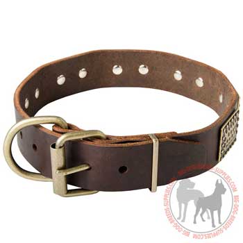Dog collar leather equipped with dependable clasp