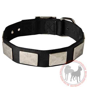 Nylon dog collar with plates