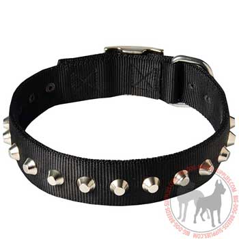 Nylon dog collar for demonstrational walking