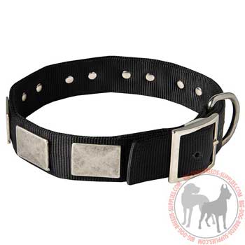 Dog nylon collar with traditional buckle