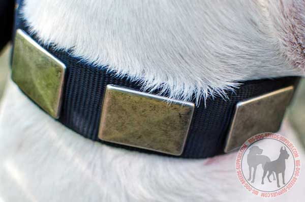 Nylon Dog Collar with Attractive Plates