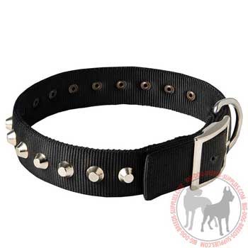 Dog nylon collar with easy release buckle