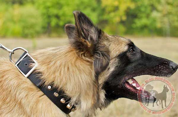 Nylon Tervuren Collar with Pyramids