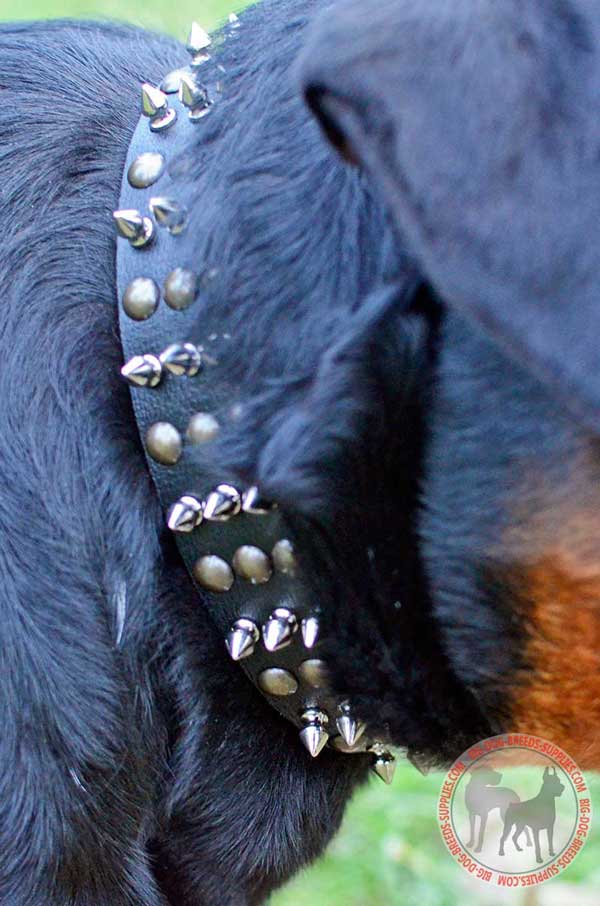 Handset Spikes and Studs on Leather Canine Equipment