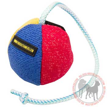 Training ball for dog high quality nylon string