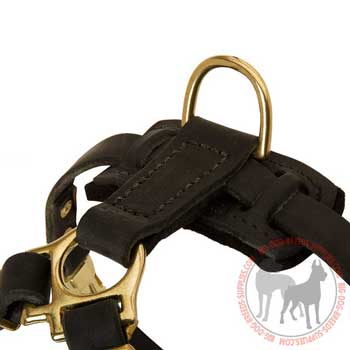 Brass D-ring Stitched to Back Plate of Leather Dog Harness