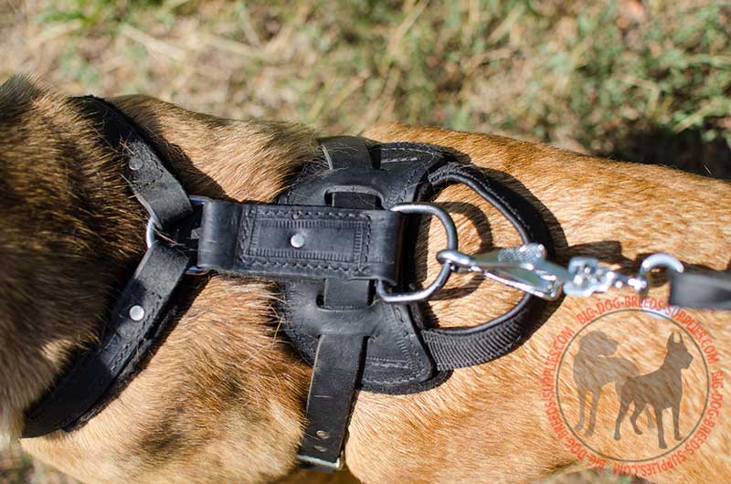 Exclusive Luxury Handcrafted Padded Leather Dog Harness : Mastiff Breed:  Harnesses, Muzzles, Collars, Leashes, Bite Tugs and Toys