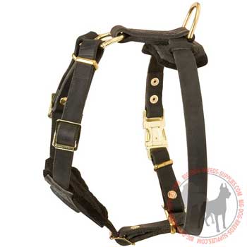 Dog Leather Harness Padded on Back Plate