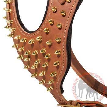 Dog harness with decoration made with style