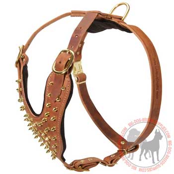 Leather harness for dogs decorated and stylish